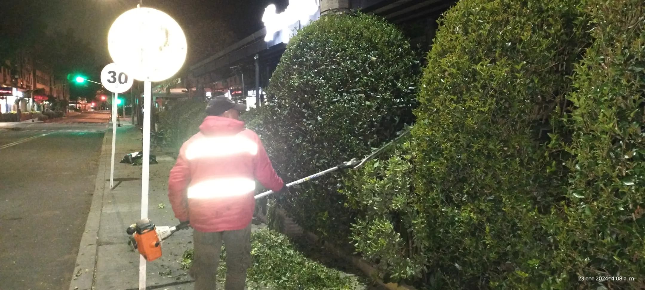 cercas vivas y jardines verticales