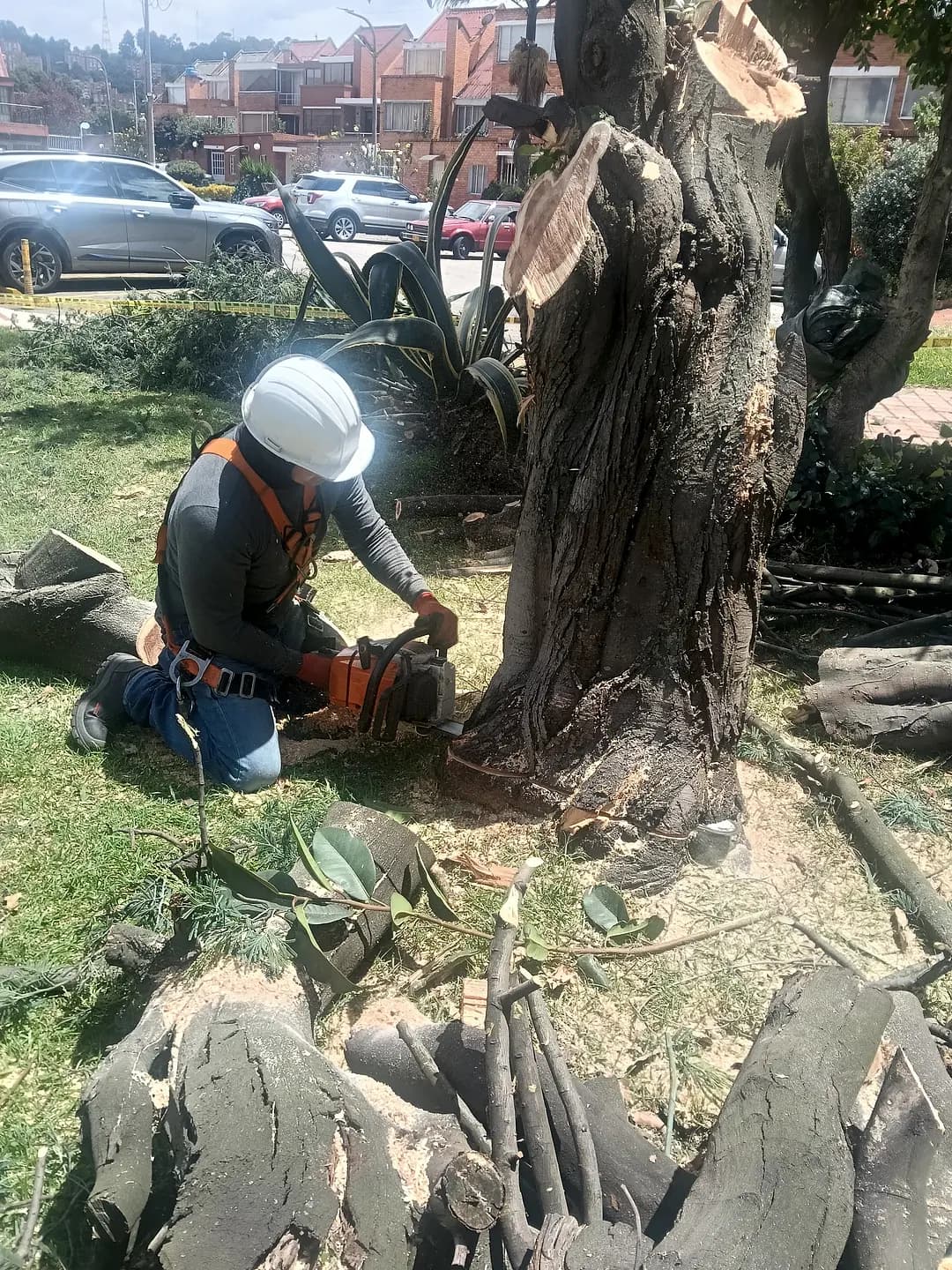 Proyectos destacados