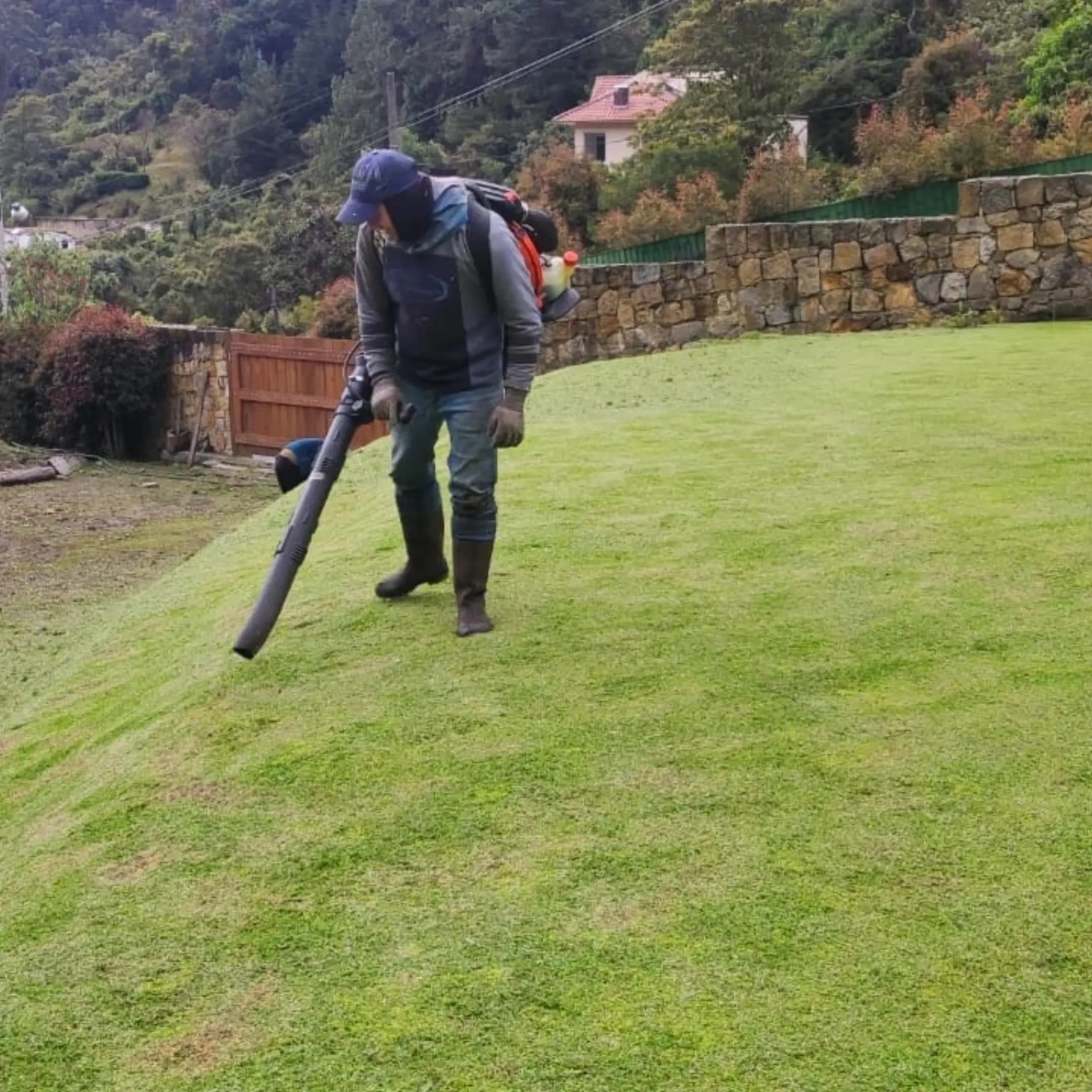 Nuestros trabajos - cuidado de cesped