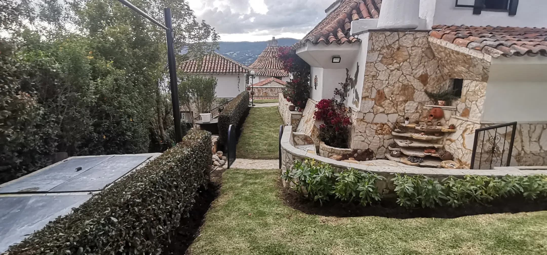 Trabajos poda de cesped