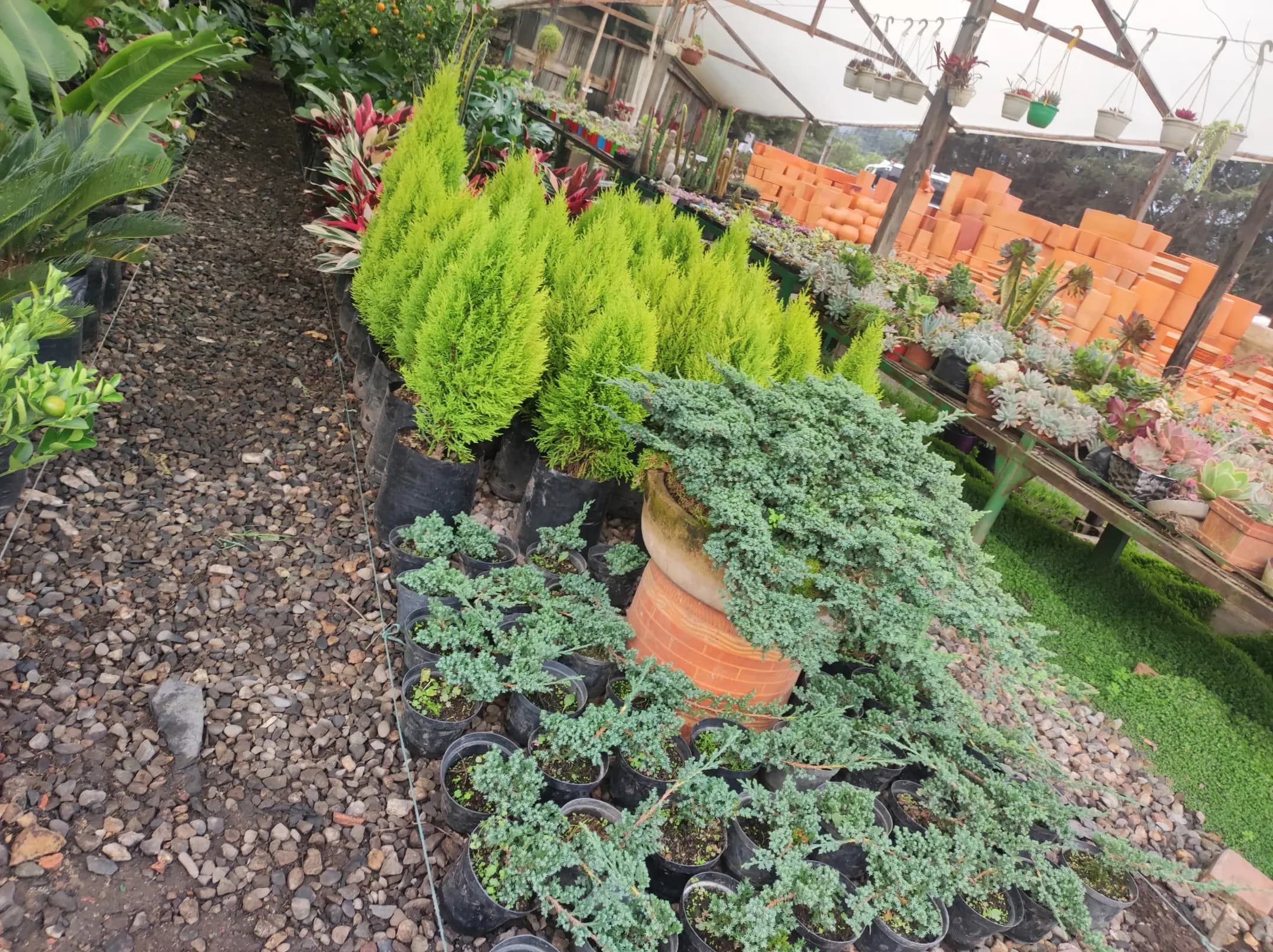 Nuestros trabajos - jardines