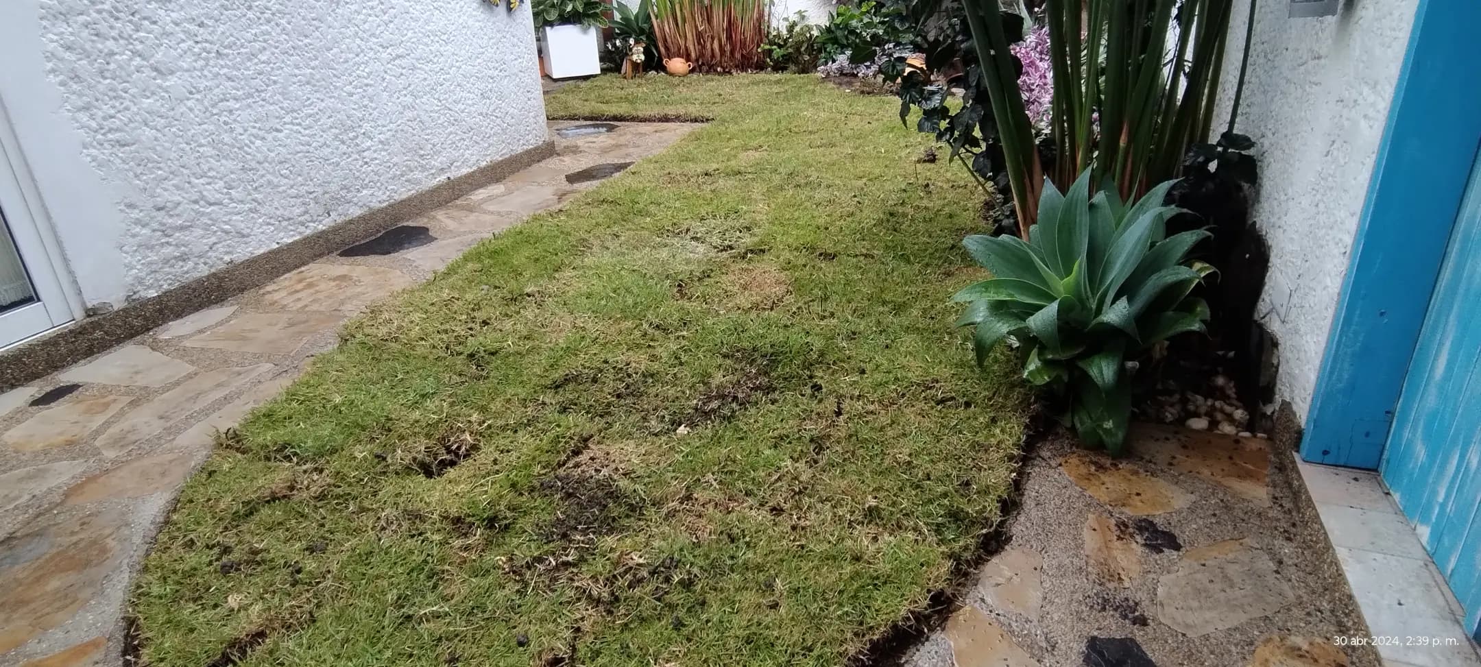 Nuestros trabajos - jardines