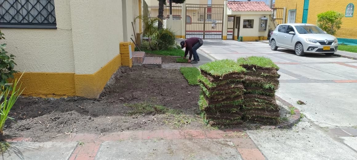 Siembra de pasto