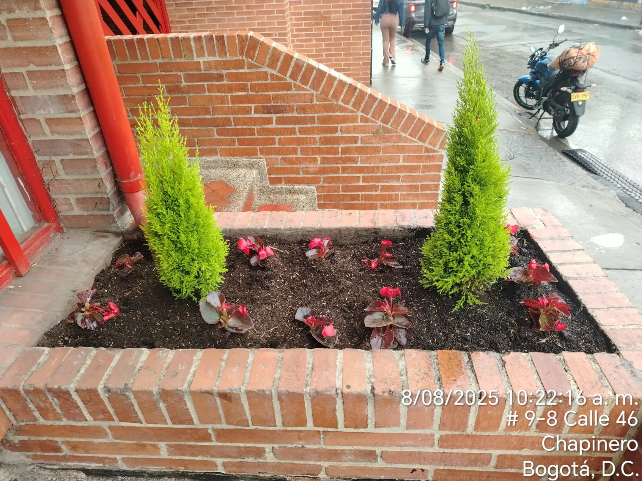 Nuestros trabajos - jardines