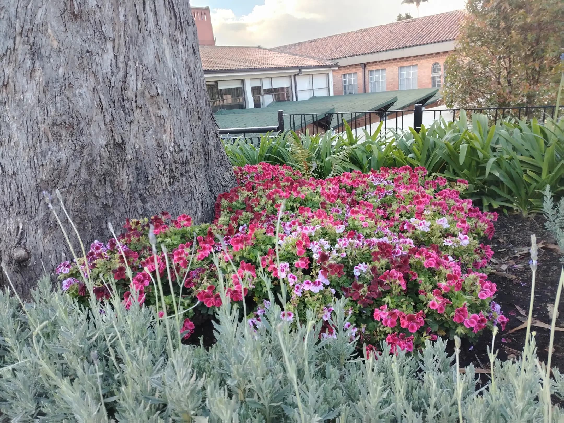 Nuestros trabajos - jardines