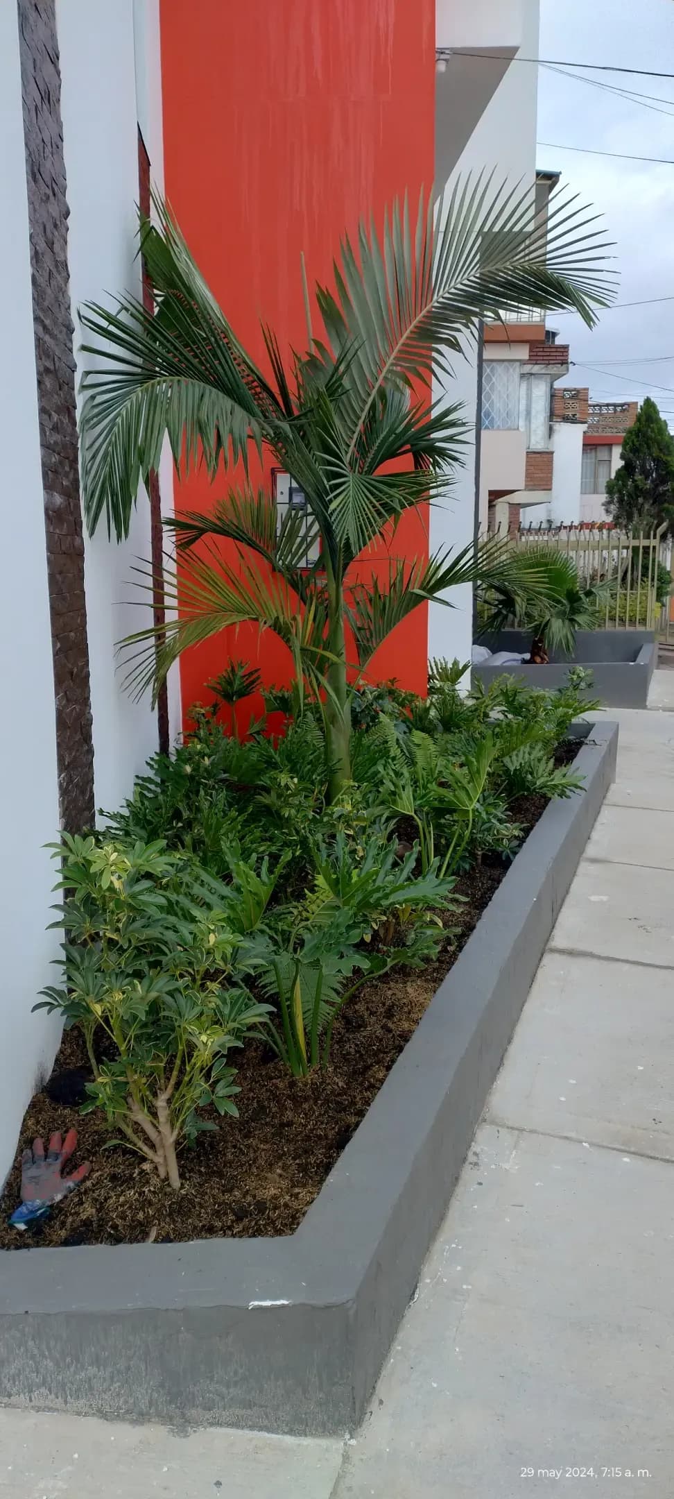 Trabajos poda de cesped